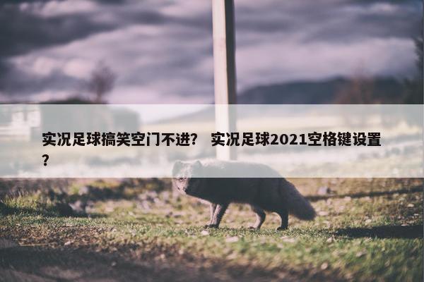 实况足球搞笑空门不进？ 实况足球2021空格键设置？