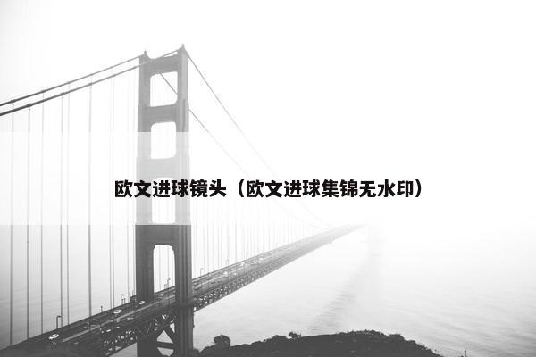 欧文进球镜头（欧文进球集锦无水印）