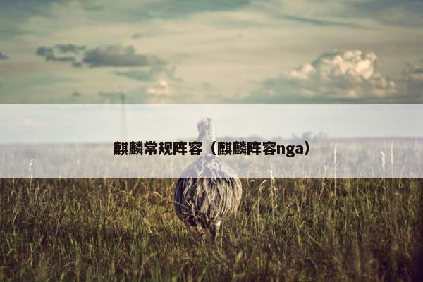 麒麟常规阵容（麒麟阵容nga）