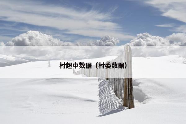 村超中数据（村委数据）