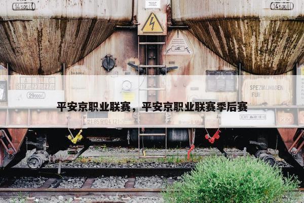 平安京职业联赛，平安京职业联赛季后赛