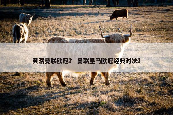 黄潜曼联欧冠？ 曼联皇马欧冠经典对决？