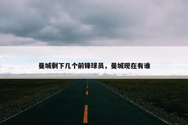 曼城剩下几个前锋球员，曼城现在有谁