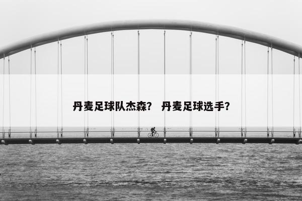 丹麦足球队杰森？ 丹麦足球选手？