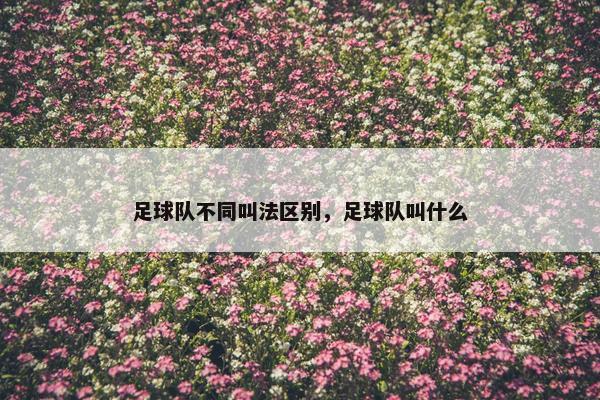 足球队不同叫法区别，足球队叫什么