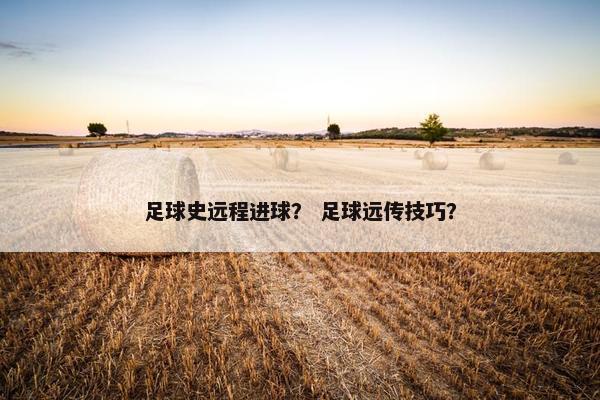 足球史远程进球？ 足球远传技巧？
