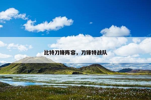 比特刀锋阵容，刀锋特战队