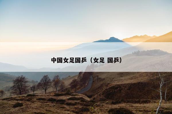 中国女足国乒（女足 国乒）
