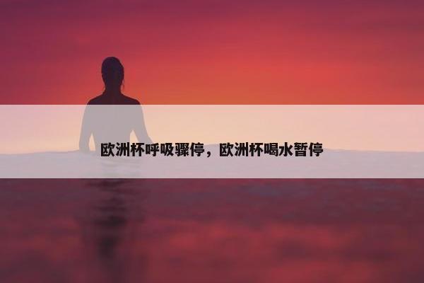 欧洲杯呼吸骤停，欧洲杯喝水暂停