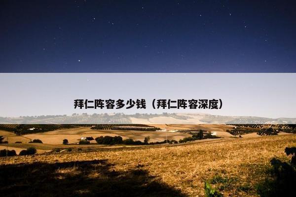 拜仁阵容多少钱（拜仁阵容深度）