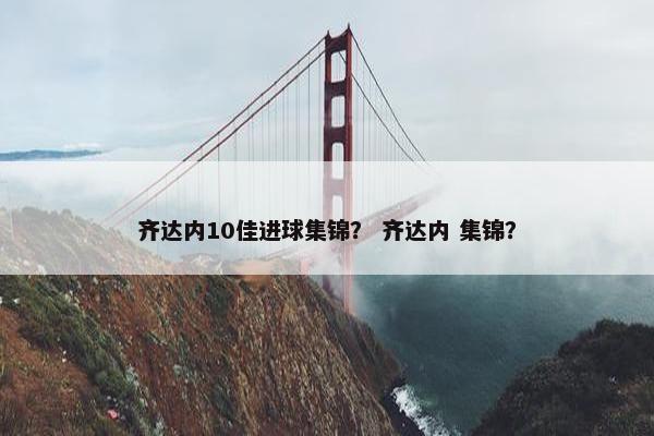齐达内10佳进球集锦？ 齐达内 集锦？