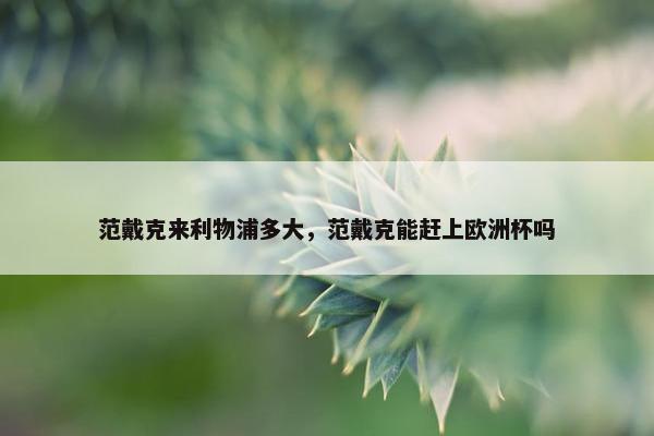 范戴克来利物浦多大，范戴克能赶上欧洲杯吗