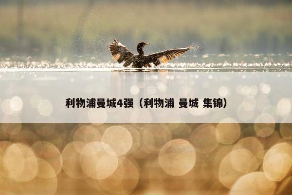 利物浦曼城4强（利物浦 曼城 集锦）