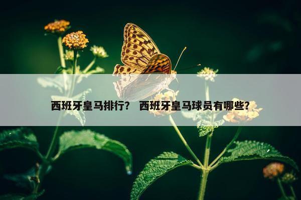 西班牙皇马排行？ 西班牙皇马球员有哪些？