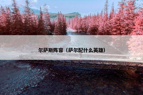 尔萨斯阵容（萨尔配什么英雄）