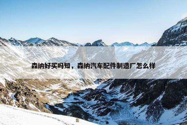 森纳好买吗知，森纳汽车配件制造厂怎么样