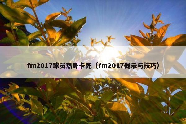 fm2017球员热身卡死（fm2017提示与技巧）