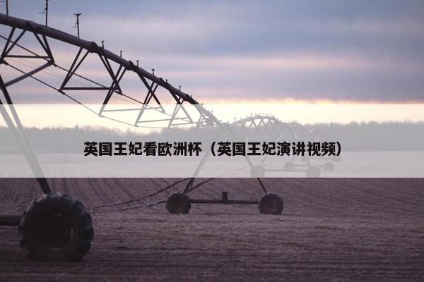 英国王妃看欧洲杯（英国王妃演讲视频）