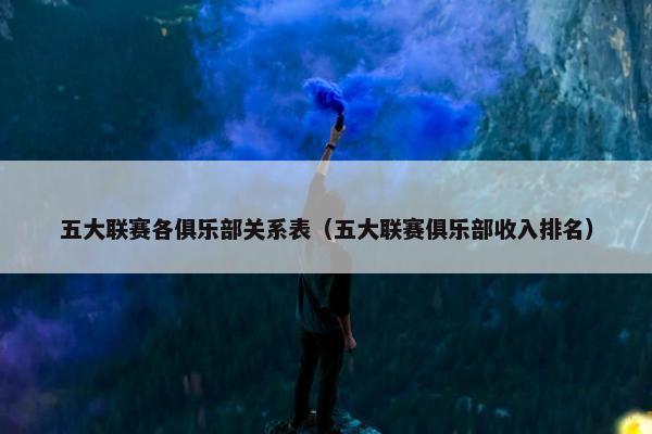 五大联赛各俱乐部关系表（五大联赛俱乐部收入排名）