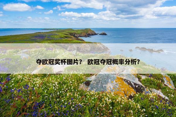 夺欧冠奖杯图片？ 欧冠夺冠概率分析？