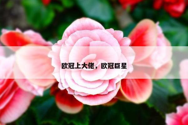 欧冠上大佬，欧冠巨星