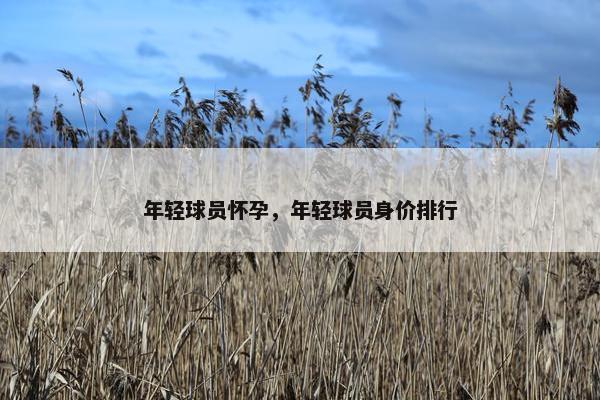 年轻球员怀孕，年轻球员身价排行