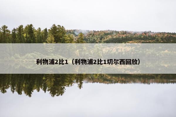 利物浦2比1（利物浦2比1切尔西回放）