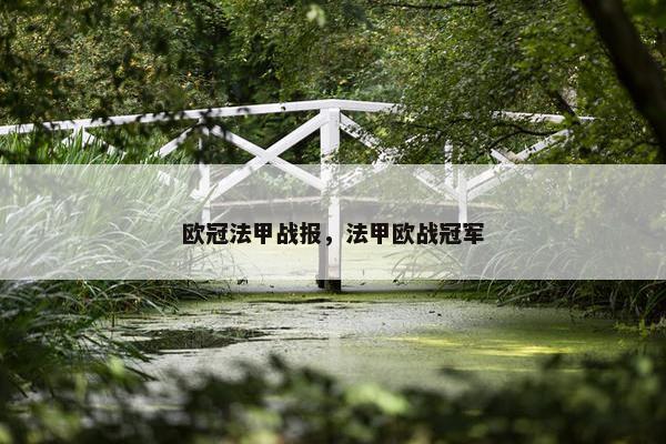 欧冠法甲战报，法甲欧战冠军