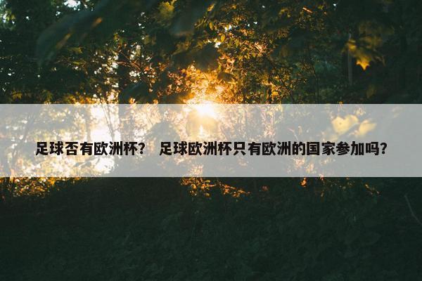 足球否有欧洲杯？ 足球欧洲杯只有欧洲的国家参加吗？