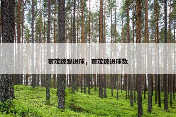 宿茂臻踢进球，宿茂臻进球数