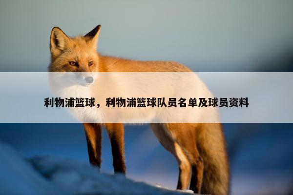 利物浦篮球，利物浦篮球队员名单及球员资料