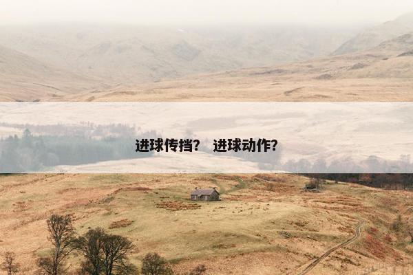 进球传挡？ 进球动作？