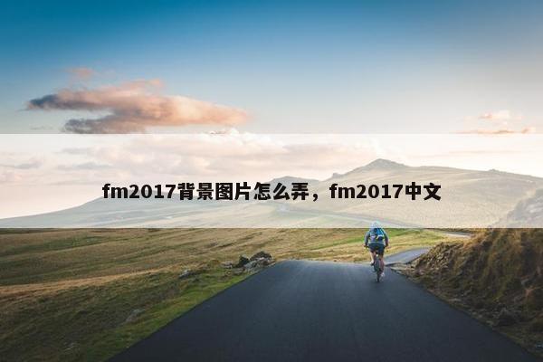 fm2017背景图片怎么弄，fm2017中文