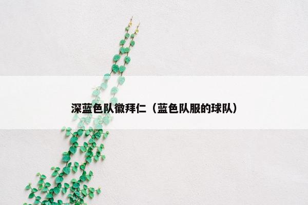 深蓝色队徽拜仁（蓝色队服的球队）