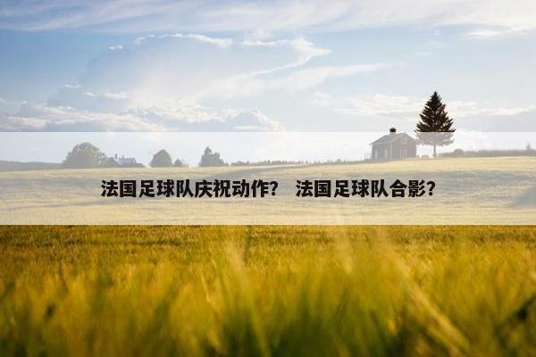 法国足球队庆祝动作？ 法国足球队合影？