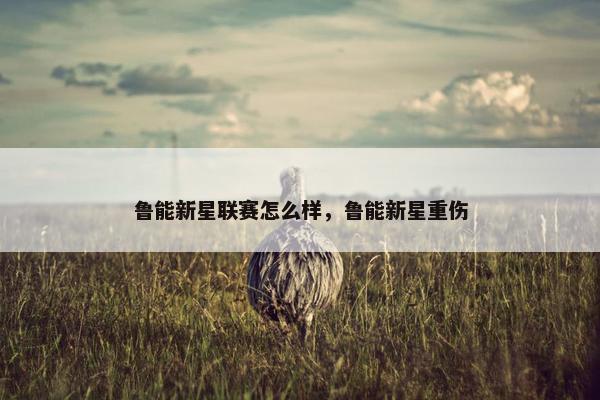 鲁能新星联赛怎么样，鲁能新星重伤