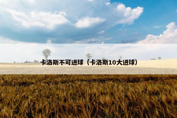 卡洛斯不可进球（卡洛斯10大进球）