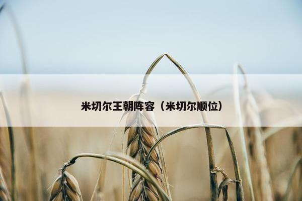 米切尔王朝阵容（米切尔顺位）