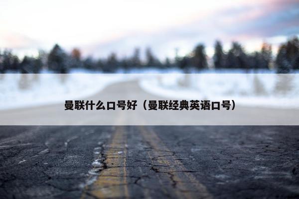 曼联什么口号好（曼联经典英语口号）