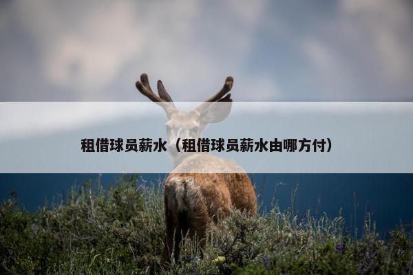 租借球员薪水（租借球员薪水由哪方付）