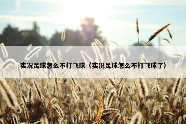 实况足球怎么不打飞球（实况足球怎么不打飞球了）