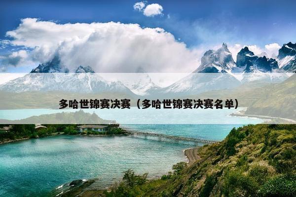 多哈世锦赛决赛（多哈世锦赛决赛名单）