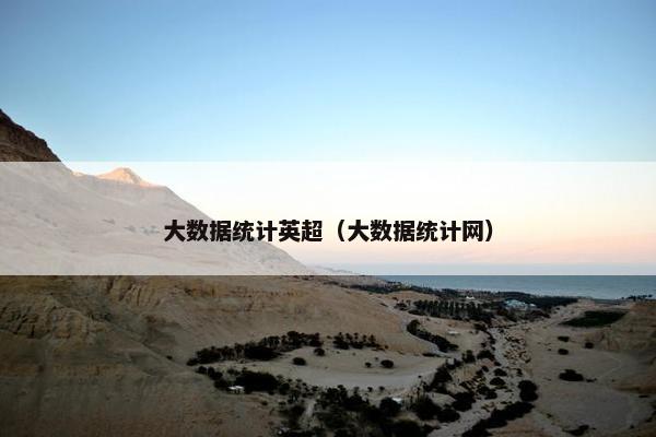 大数据统计英超（大数据统计网）