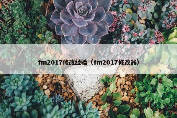 fm2017修改经验（fm2017修改器）