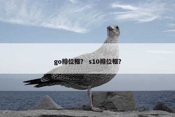 go排位框？ s10排位框？