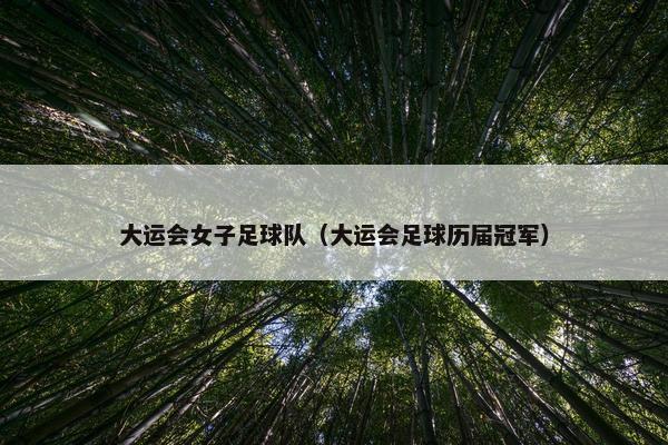大运会女子足球队（大运会足球历届冠军）