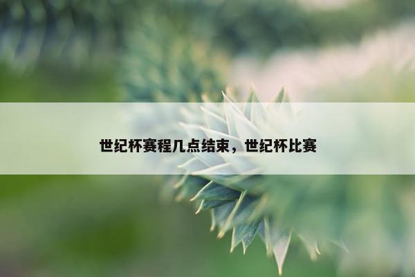 世纪杯赛程几点结束，世纪杯比赛