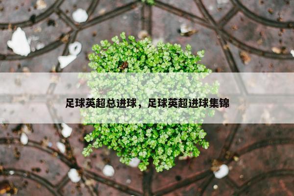 足球英超总进球，足球英超进球集锦