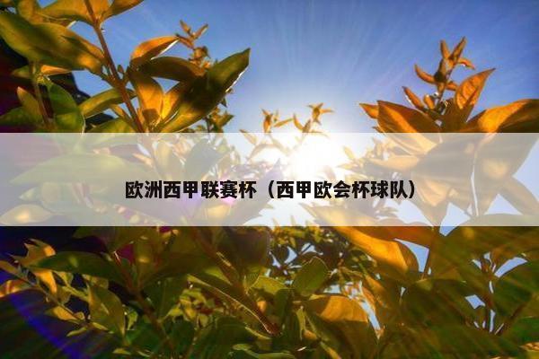 欧洲西甲联赛杯（西甲欧会杯球队）