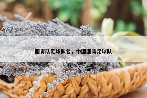 国青队足球队名，中国国青足球队